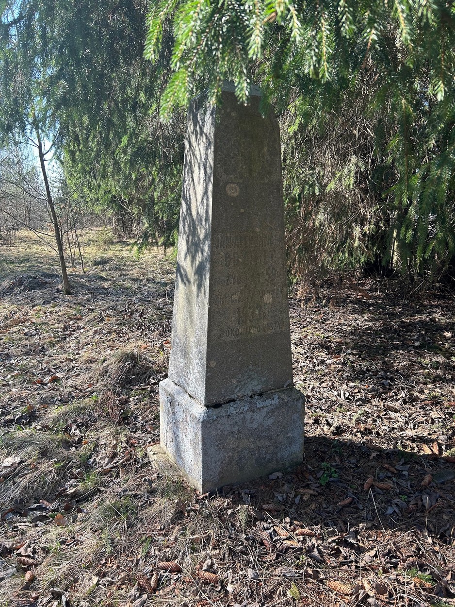 43 23 06 2024gorodok026