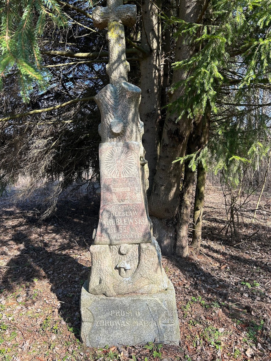 45 23 06 2024gorodok026