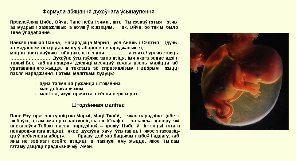 zvestav2