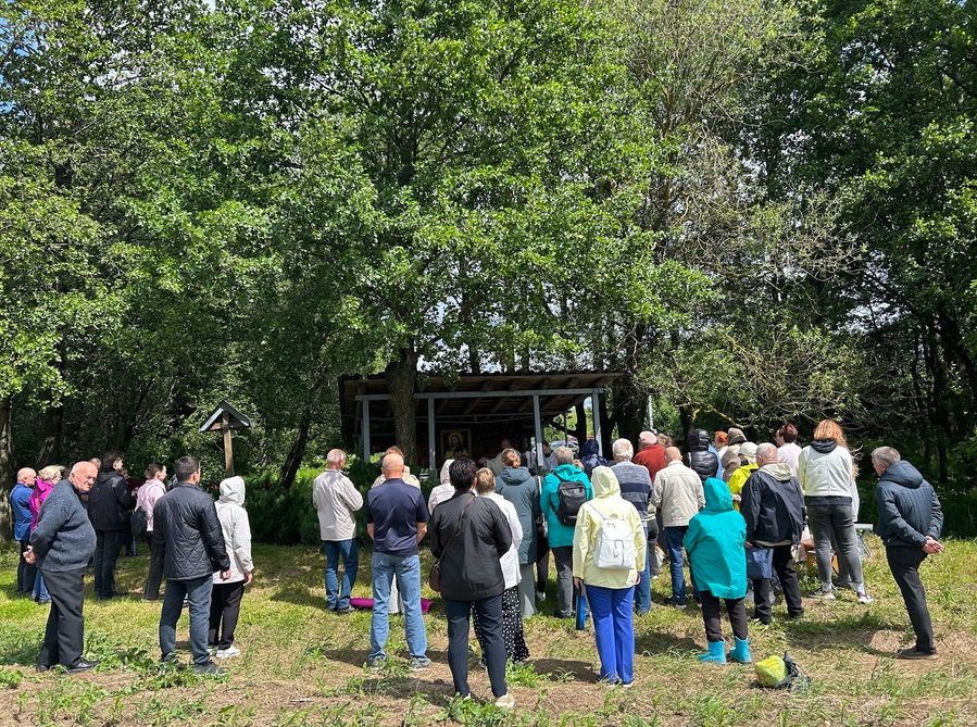 28.06.2025Leshna03