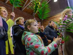 Вербная Нядзеля