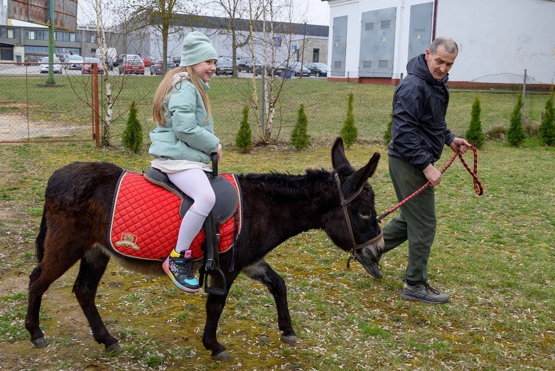 13.04.2025 verbnaja02