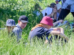 32-я Пілігрымка Маладзечна-Будслаў, 2025 Laudato Si
