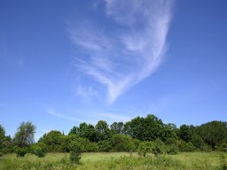32-я Пілігрымка Маладзечна-Будслаў, 2025 Laudato Si