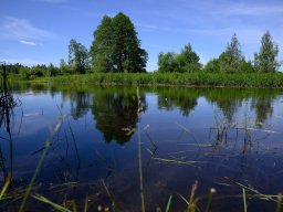 32-я Пілігрымка Маладзечна-Будслаў, 2025 Laudato Si