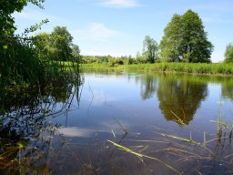 32-я Пілігрымка Маладзечна-Будслаў, 2025 Laudato Si