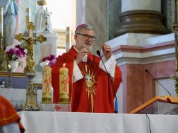 32-я Пілігрымка Маладзечна-Будслаў, 2025 Laudato Si