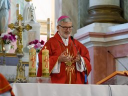 32-я Пілігрымка Маладзечна-Будслаў, 2025 Laudato Si