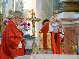 32-я Пілігрымка Маладзечна-Будслаў, 2025 Laudato Si