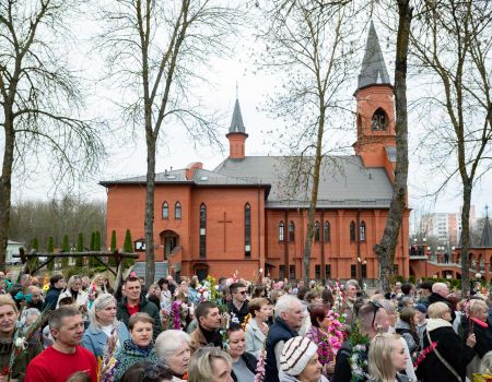 Фота да артыкула з назвайПальмовая Нядзеля
