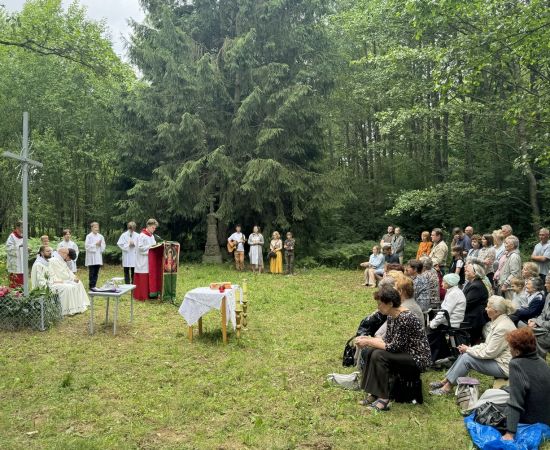 Obraz do wydarzenia Урачыстасць Нараджэння св. Яна Хрысціцеля ў Гарадку
